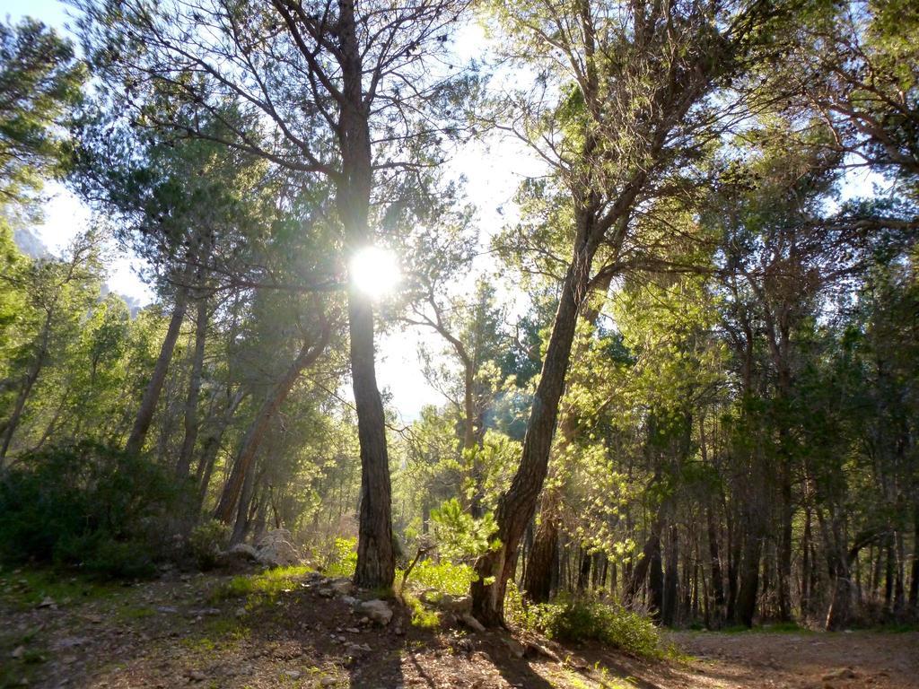 Finca Ses Fontanelles Андрач Екстер'єр фото